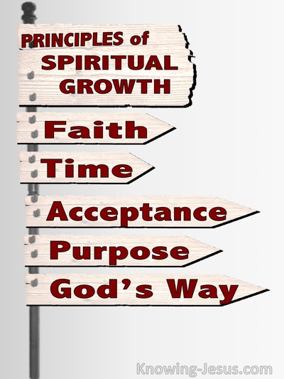 Principles Of Spiritual Growth (devotional)08-12 (white)